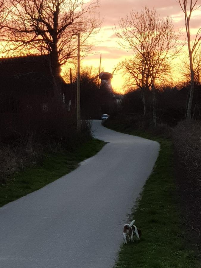 Haffblick Westerholz